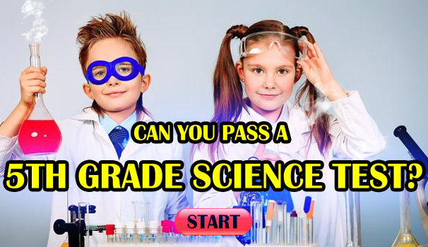 Can You Pass A 5th Grade Science Test?
