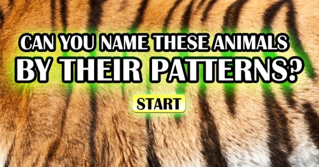 Can You Guess These Animals By Their Patterns?