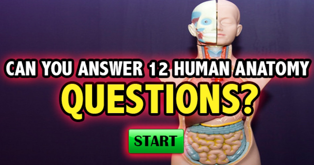 Can You Answer 12 Basic Human Anatomy Questions?