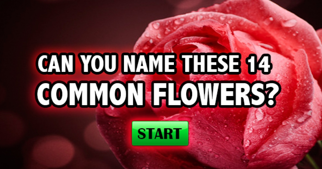 How Well Do You Know Your Flowers?