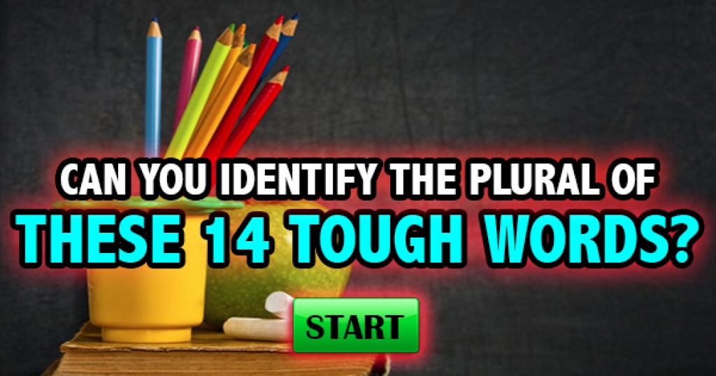 Can You Identify The Plural Of These 14 Tough Words?