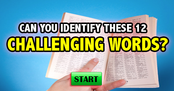 Can You Define These 12 Challenging Words?