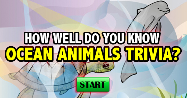 How Well Do You Know Ocean Animal Trivia?