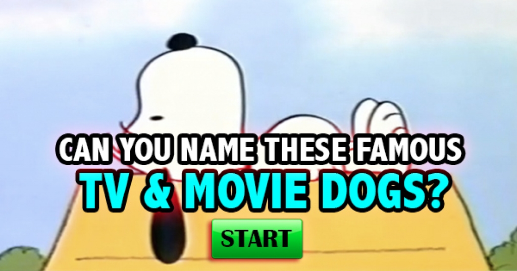 Can You Name These Famous TV & Movie Dogs?