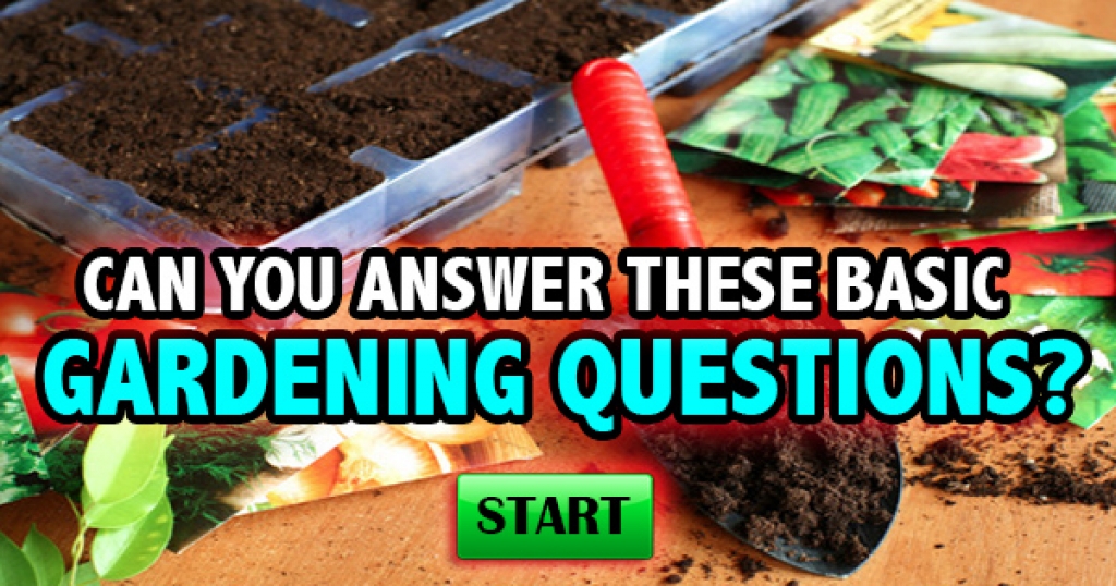 Can You Answer These Basic Gardening Questions?