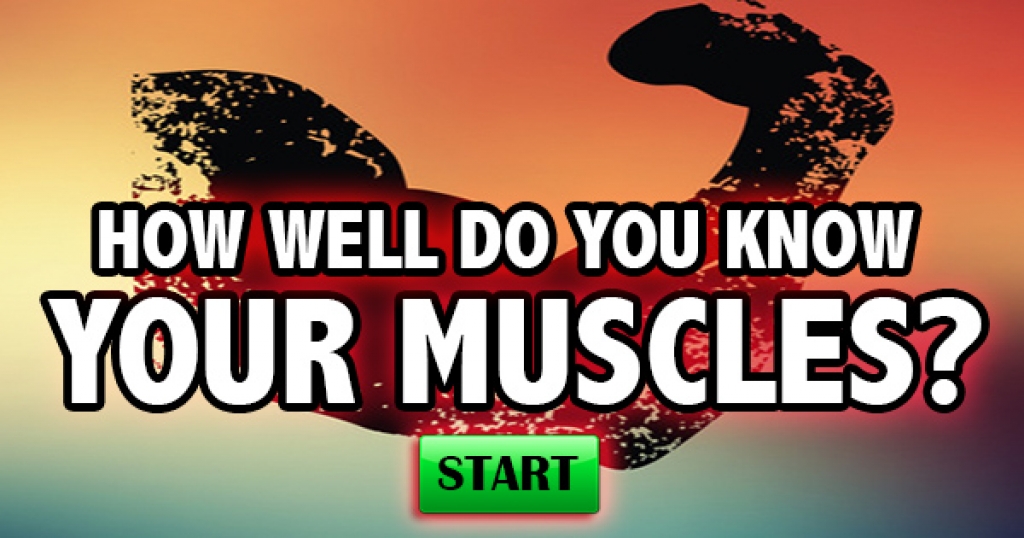 How Well Do You Know Your Muscles?
