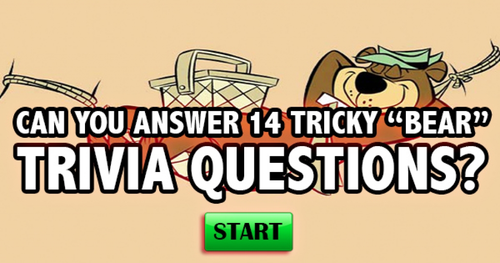 Can You Answer 14 Tricky “Bear” Trivia Questions? 