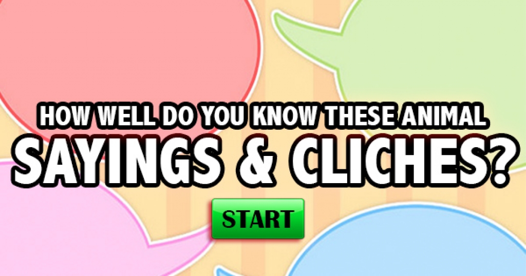 How Well Do You Know These Animal Sayings & Clichés?