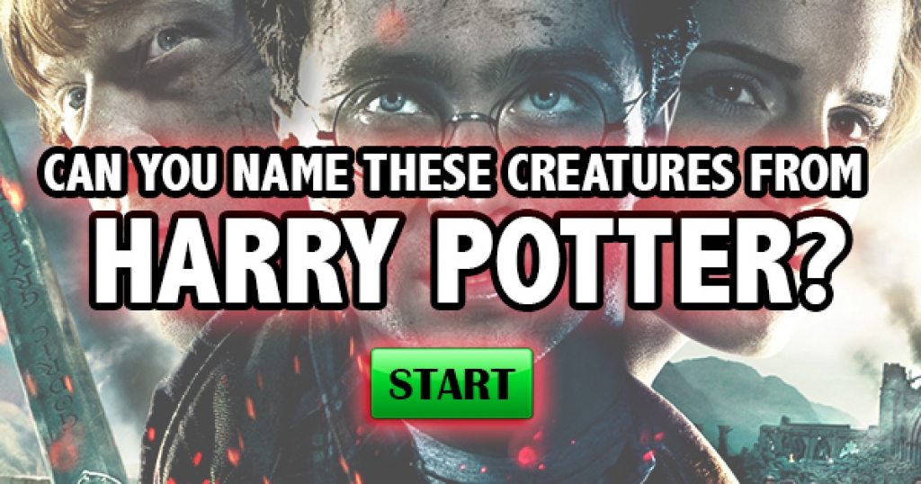 Can You Name These Creatures From Harry Potter?