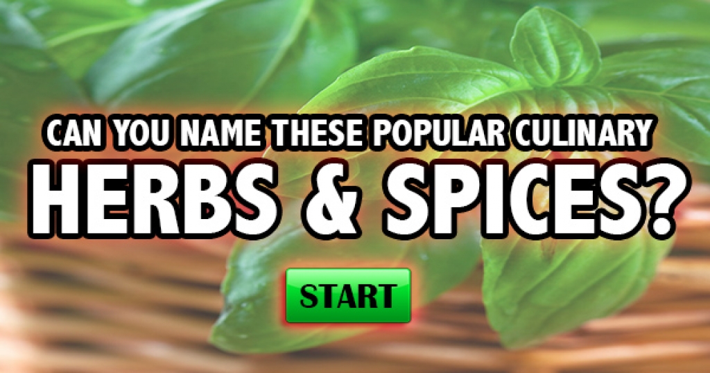 Can You Name These Popular Culinary Herbs and Spices?