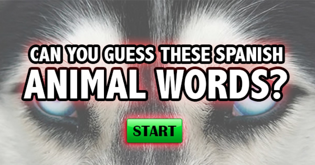 Can You Guess These Spanish Animal Words?