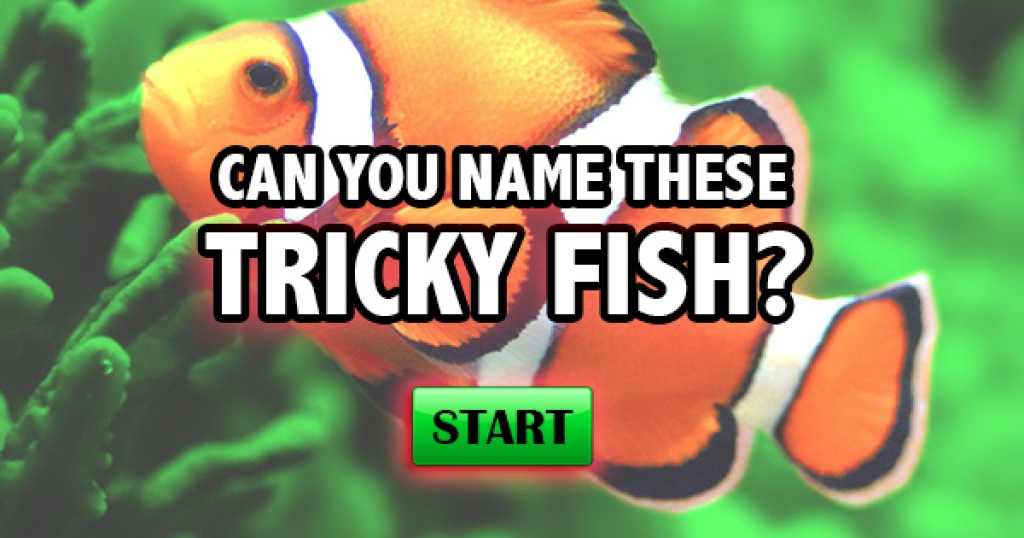 Can You Name These Tricky Fish?