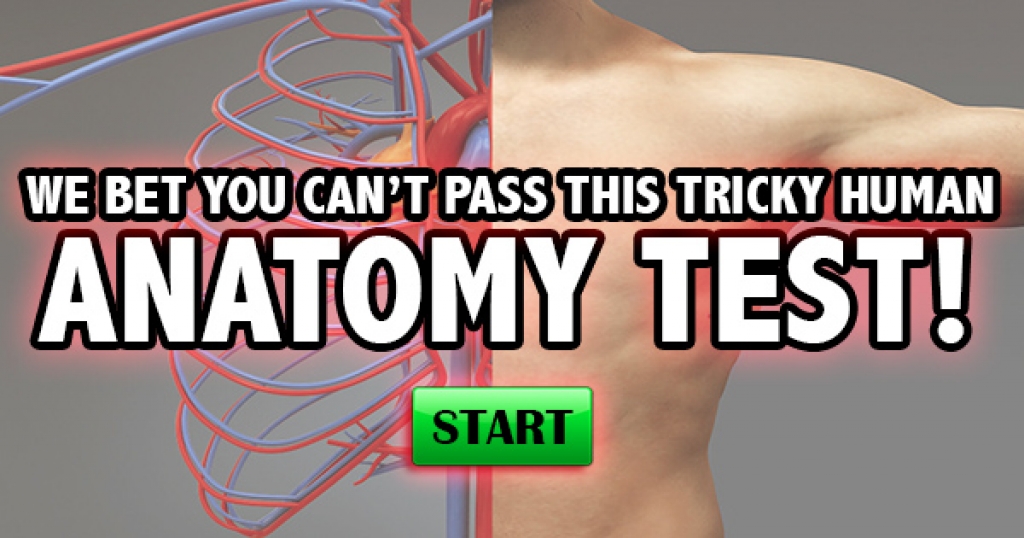 We Bet You Can’t Pass This Tricky Human Anatomy Test!