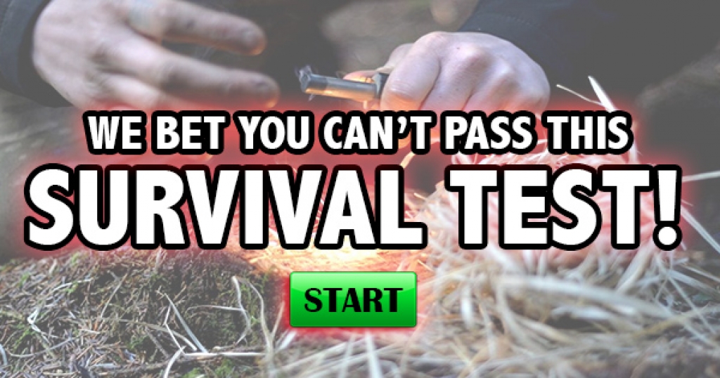 We Bet You Can’t Pass This Survival Test!
