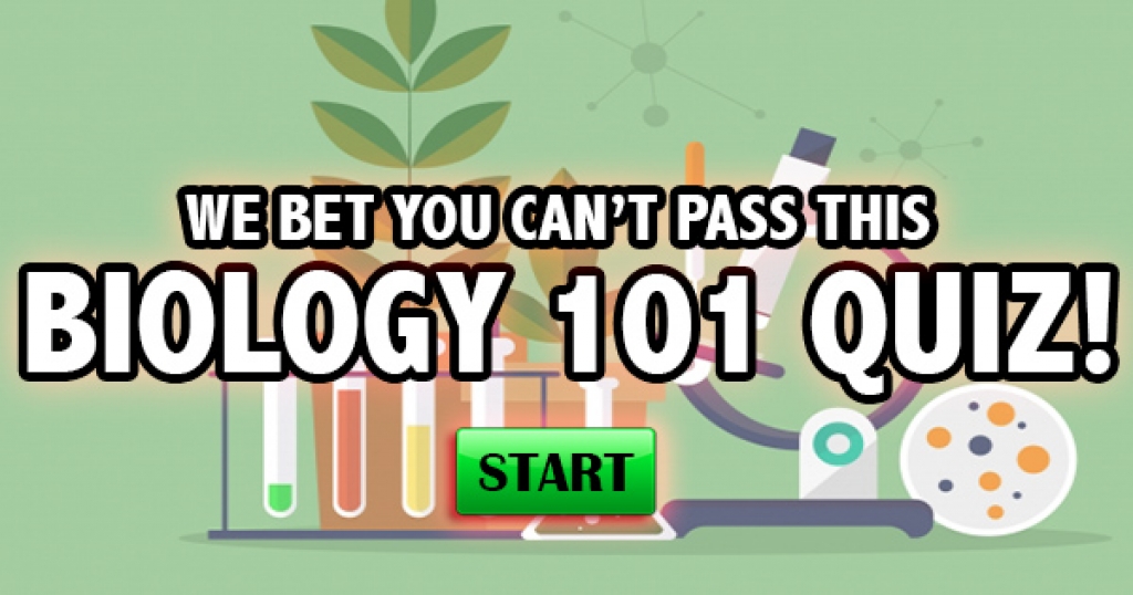 We Bet You Can’t Pass This Biology 101 Quiz!