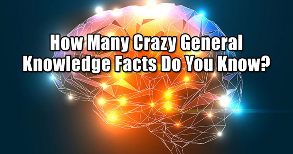 How Many Crazy General Knowledge Facts Do You Know?