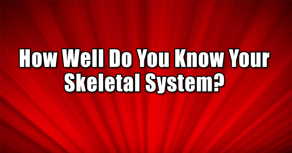 How Well Do You Know Your Skeletal System?