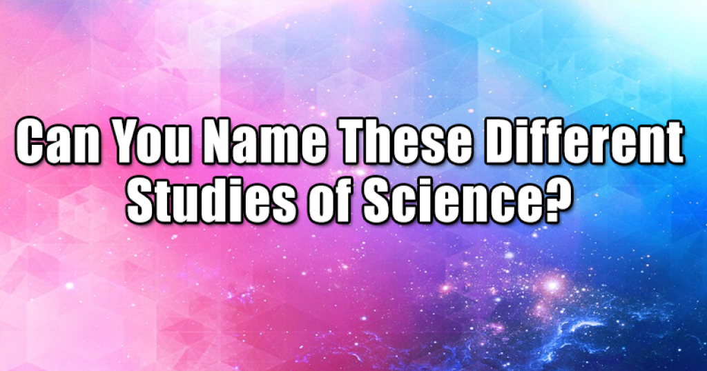Can You Name These Different Studies of Science?