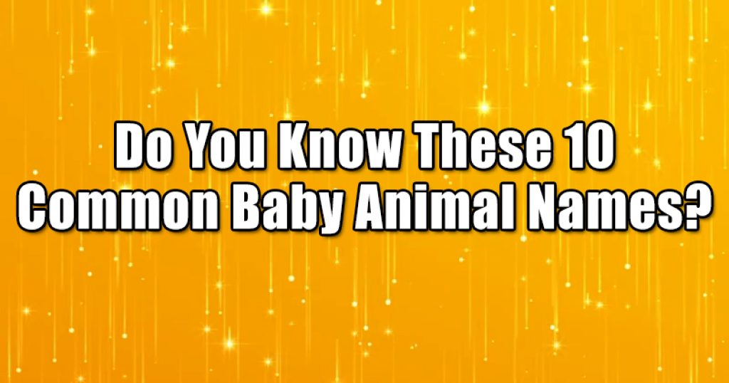 Do You Know These 10 Common Baby Animal Names?