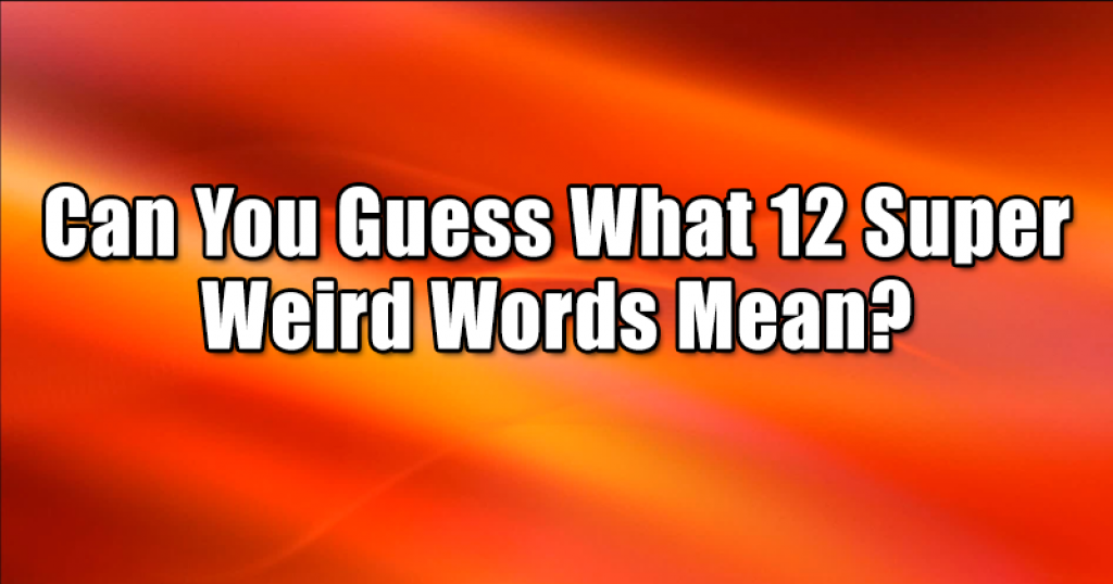 Can You Guess What 12 Super Weird Words Mean?