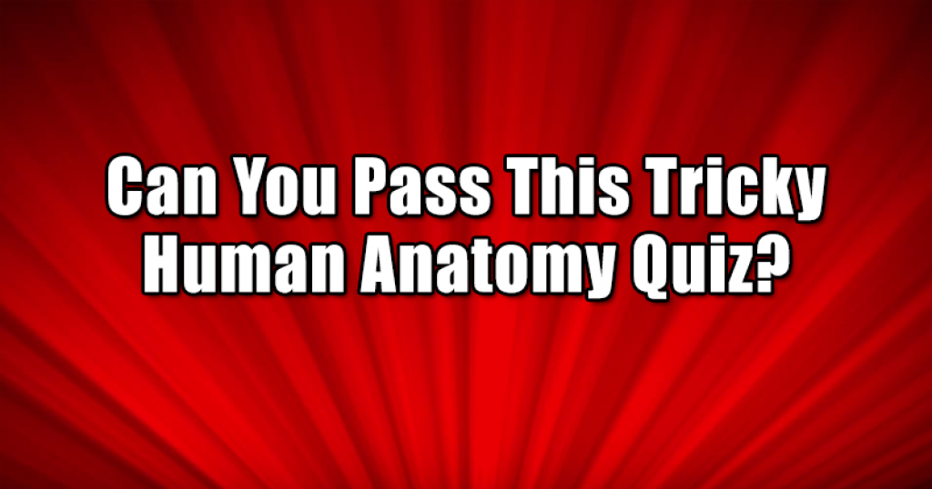 Can You Pass This Tricky Human Anatomy Quiz?
