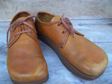 the earth shoes 1970s
